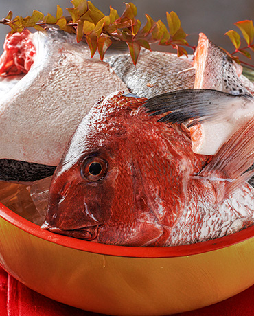 魚集合